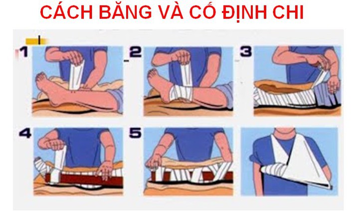 Rắn bò vào nhà cắn trẻ, chữa ra sao? - Ảnh 1.