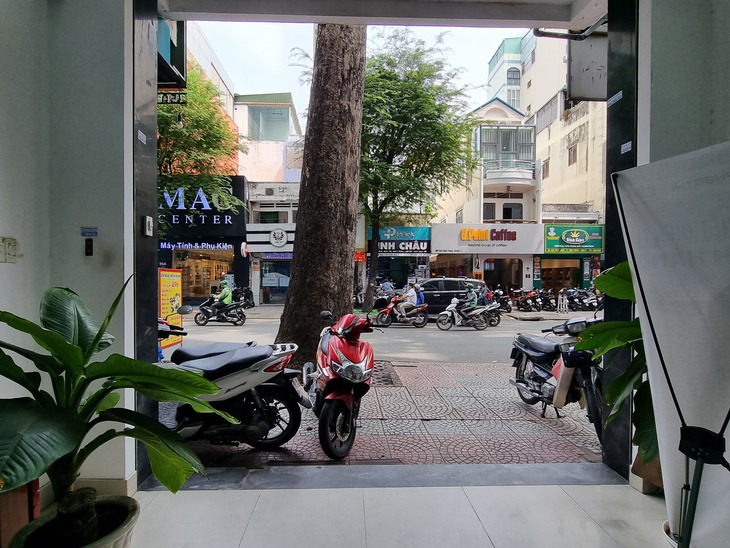 Có được đốn, dời cây xanh choán mặt tiền nhà? - Ảnh 2. Có được đốn, dời cây xanh choán mặt tiền nhà? - Ảnh 2.