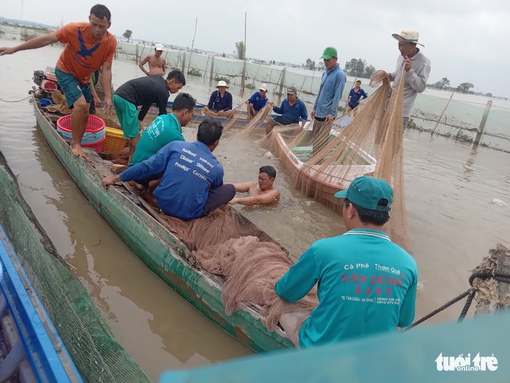 Cá đồng thiên nhiên đè cá nuôi theo dự án - Ảnh 1.