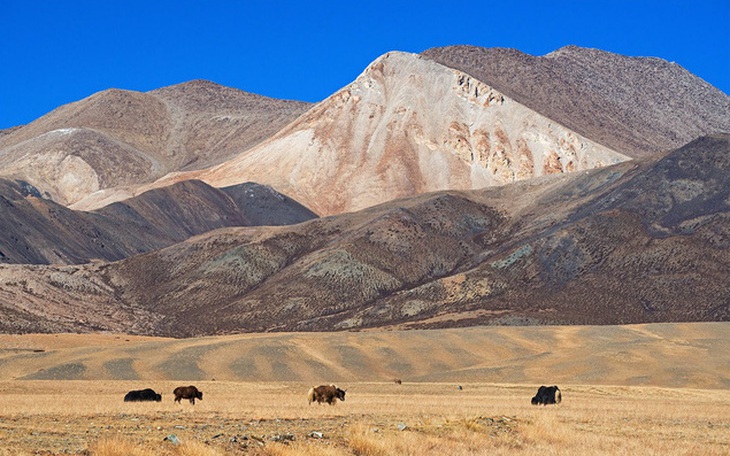 Cao nguyên Thanh Hải - Tây Tạng trên dãy Himalaya nguy cơ sụp đổ