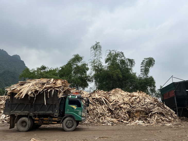 Xuất khẩu đã giảm gần một nửa, doanh nghiệp gỗ còn mệt mỏi với hoàn thuế chậm - Ảnh 1.