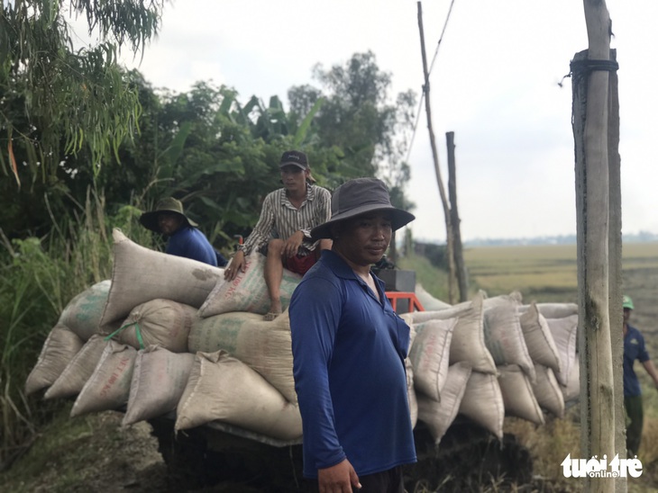 Nông dân miền Tây phấn khởi thu hoạch vụ Thu Đông 2022 - Ảnh 2. Nông dân miền Tây phấn khởi thu hoạch vụ Thu Đông 2022 - Ảnh 2.