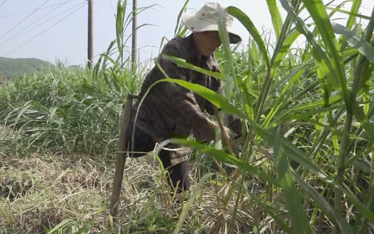 Cuộc thi ‘Lan tỏa năng lượng tích cực 2022’: Người thương binh tàn nhưng không phế