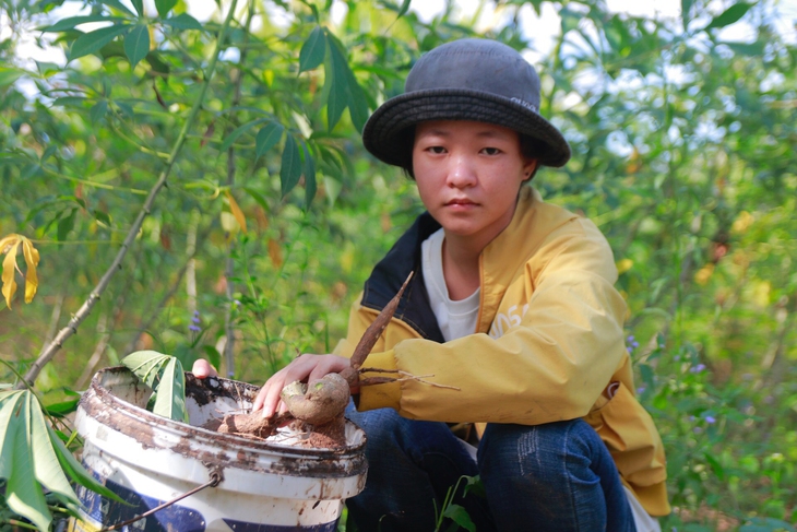 Cô gái Nùng quyết vượt dốc - Ảnh 1. Cô gái Nùng quyết vượt dốc - Ảnh 1.