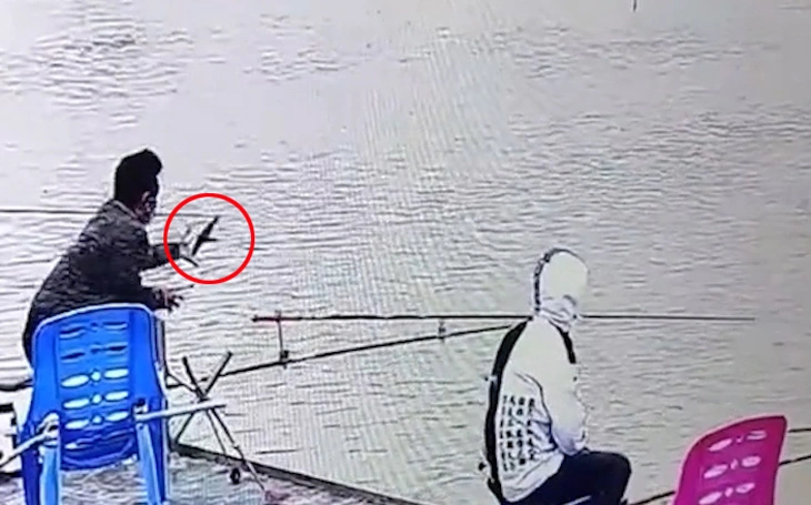 Chuyện lạ: Chim én đậu kín dây điện ở trung tâm Cần Thơ - Ảnh 7.