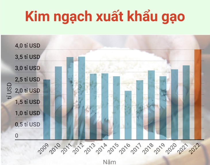 Gạo thơm vượt 1.000 USD/tấn, xuất khẩu gạo Việt Nam đạt kỷ lục 7 triệu tấn - Ảnh 2.