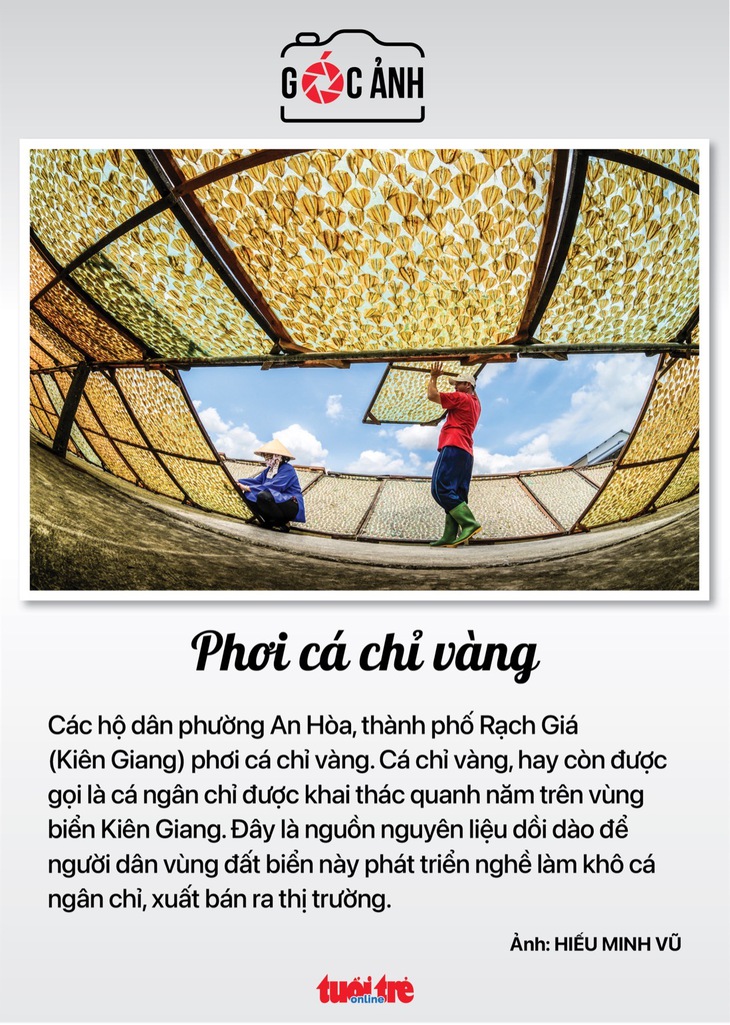 Tin tức sáng 23-12: Một năm phạt 2,8 triệu người vi phạm giao thông; Sắp khai thác thử metro TP.HCM - Ảnh 6. Tin tức sáng 23-12: Một năm phạt 2,8 triệu người vi phạm giao thông; Sắp khai thác thử metro TP.HCM - Ảnh 6.