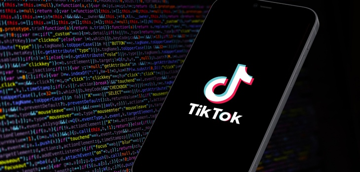 Bí mật của TikTok - Ảnh 1.