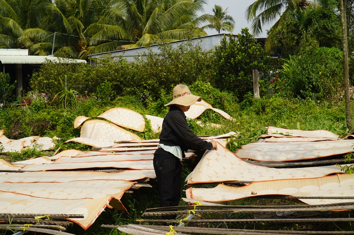 Làng nghề bánh tráng Mỹ Lồng, bánh phồng Sơn Đốc tất bật ngày giáp Tết - Ảnh 5.