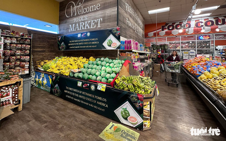 Nước ép bưởi, loại đồ uống tốt giàu vitamin, khoáng chất - Ảnh 2.