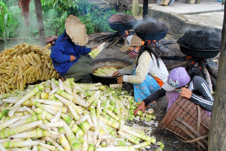 Nỗi niềm bánh tráng cuốn măng - Ảnh 3.