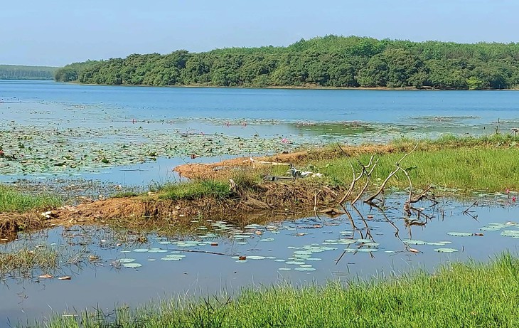 Bình Phước: Rủ nhau ra hồ bắt ốc, 2 nữ sinh lớp 5 chết đuối thương tâm - Ảnh 1.