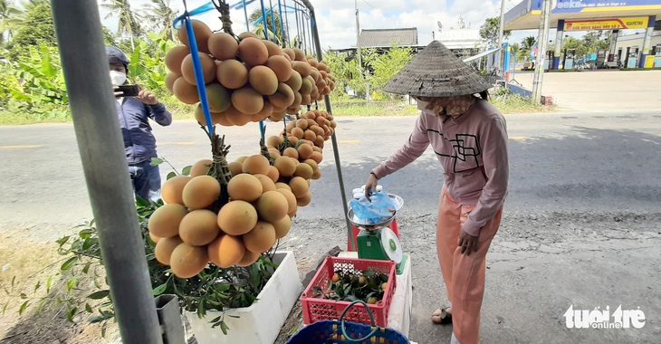 Nông dân bỏ túi bạc triệu nhờ loại cây trồng chơi ăn thiệt - Ảnh 1.