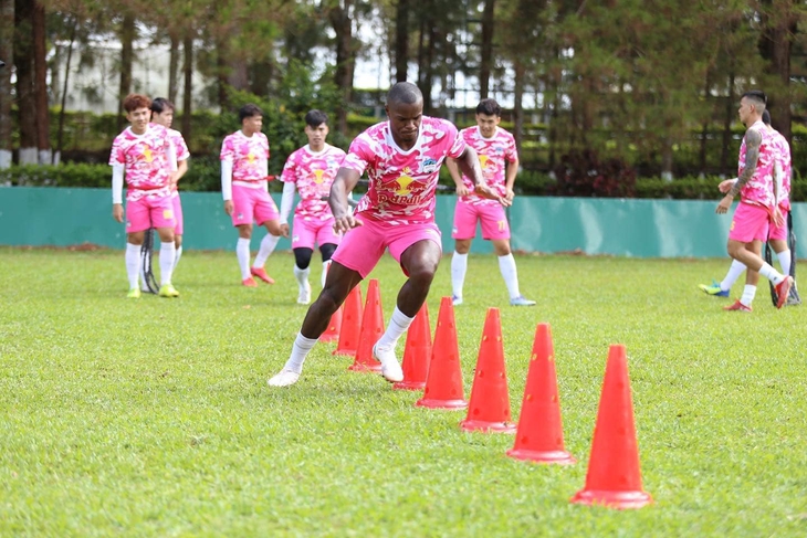 AFC Champions League 2022: Hoàng Anh Gia Lai thi đấu trên sân Thống Nhất - Ảnh 1.