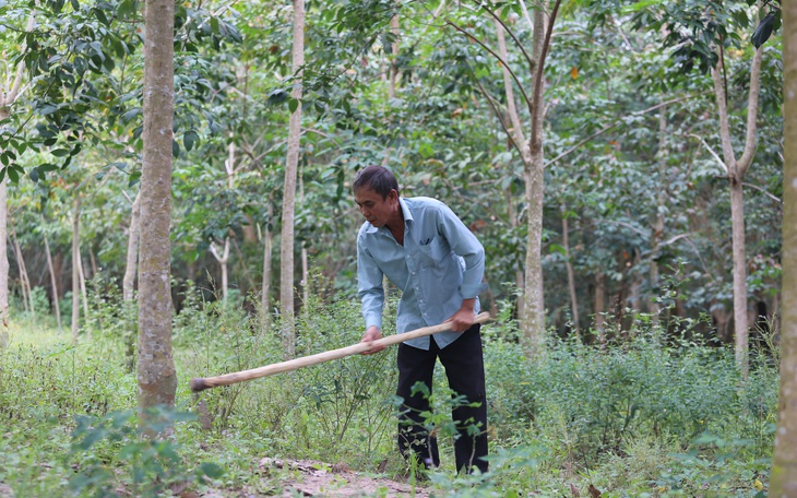 Báo Tuổi Trẻ cùng GREENFEED sẽ hỗ trợ vốn làm ăn cho nông dân nghèo Tây Ninh