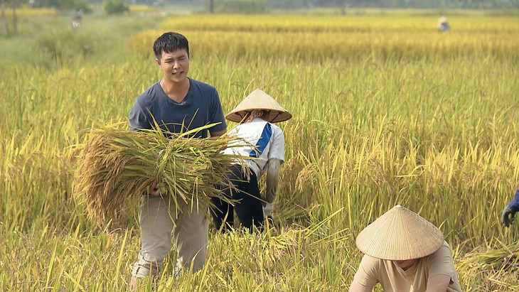 Bỏ lửng chuyện tình nhân vật chính, khán giả không vui với kết Phố trong làng - Ảnh 3.