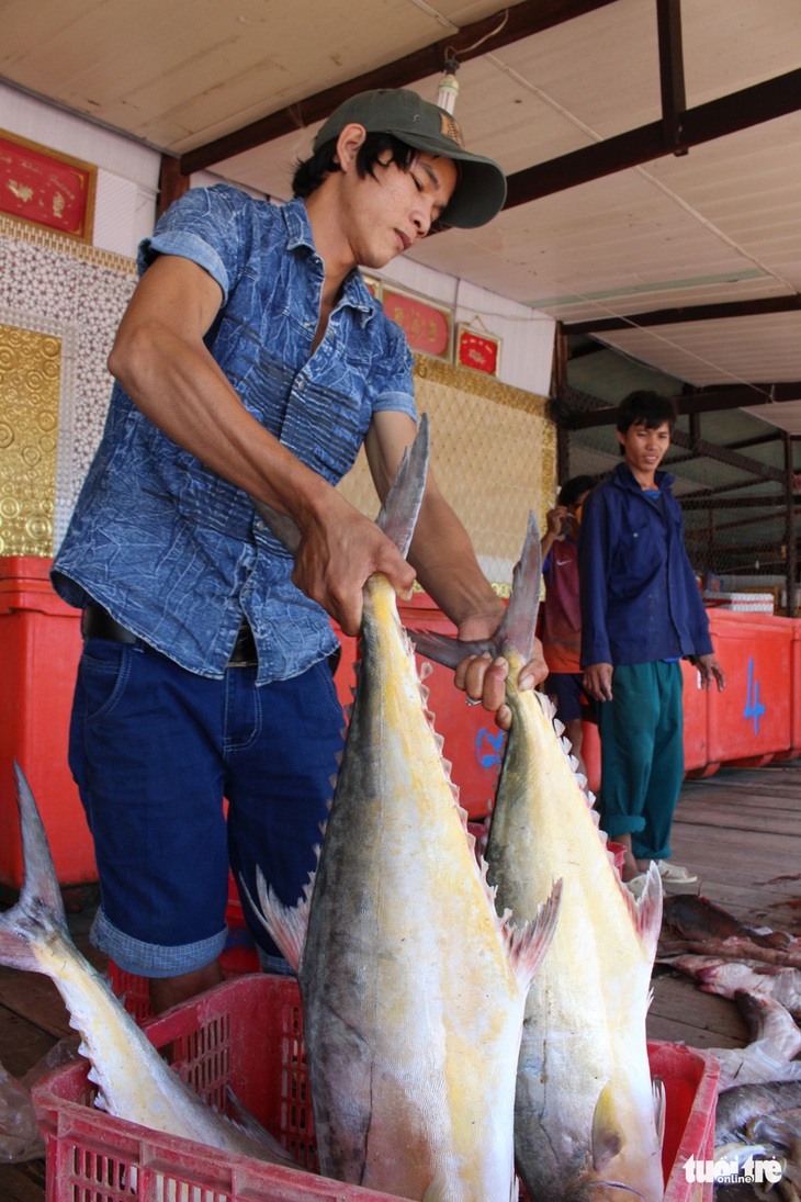 Chuyện chưa kể những tên đường nước Việt - Kỳ 8: Đường về Đất Mũi còn cá sấu hông? - Ảnh 1.