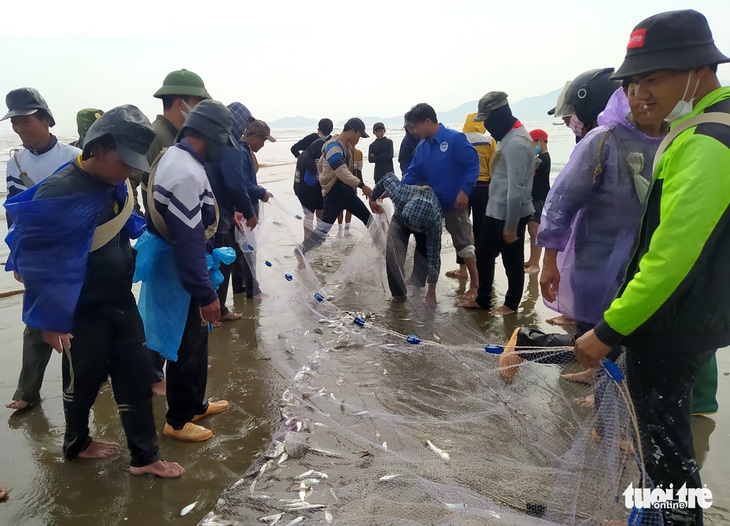 Đầu năm kéo ‘lộc biển’, ngư dân Hà Tĩnh thu tiền triệu mỗi ngày - Ảnh 3.