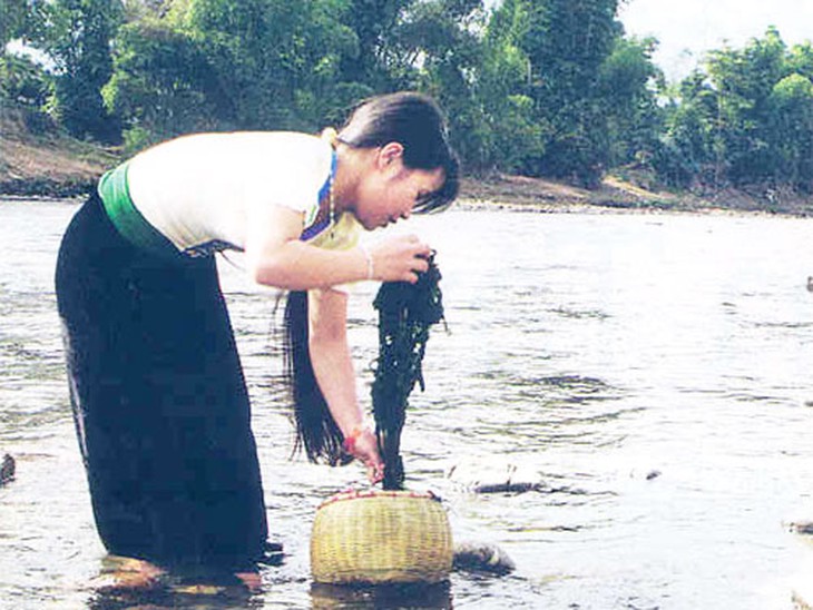 Đầu xuân lên Tây Bắc, ngây ngất món rêu - món nước mắt cuộc tình - Ảnh 4.