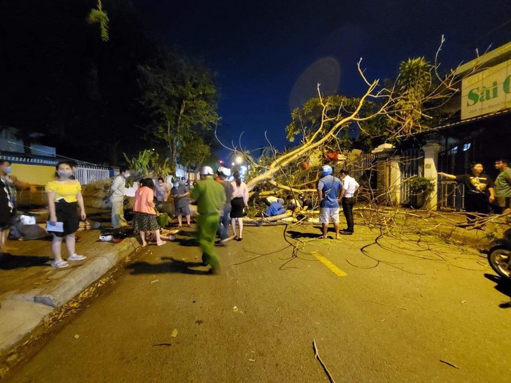 TP.HCM: Hai mẹ con bị cây ngã đè nhập viện trong khi trời quang mây tạnh - Ảnh 1.