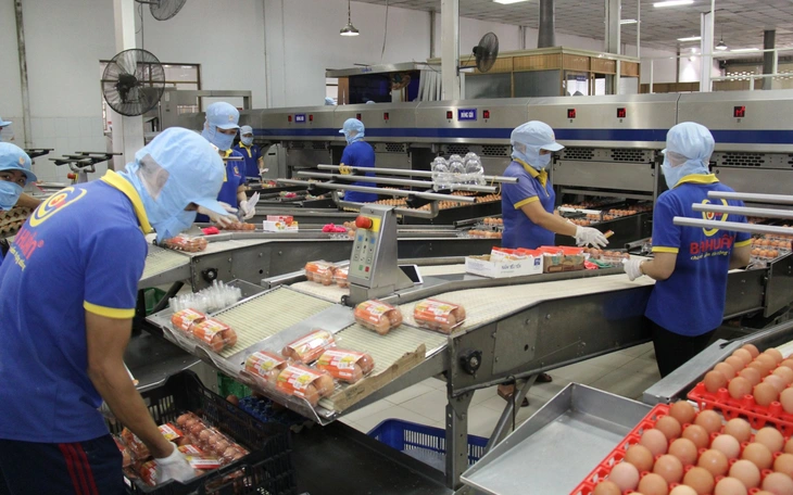 Vụ công ty Ba Huân nợ thuế hơn 51 tỉ đồng: hé lộ điều bất ngờ từ người trong cuộc - Ảnh 2.