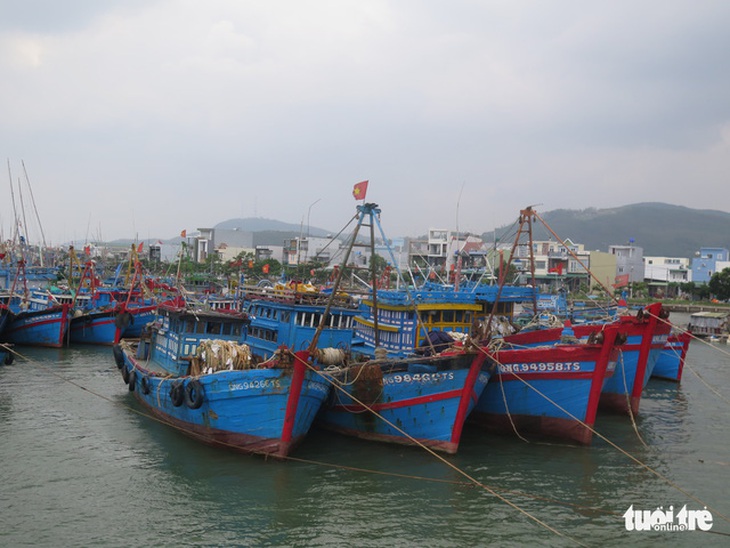 Giá xăng leo thang, hàng ngàn tàu cá phải nằm bờ - Ảnh 3.