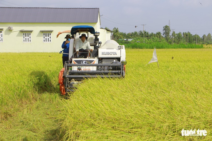 Đại dịch, giá phân bón tăng là thách thức lớn cho sản xuất nông nghiệp - Ảnh 1.