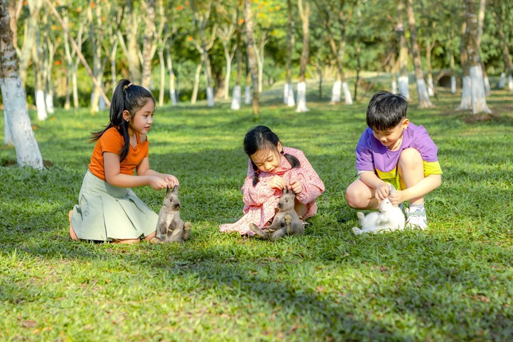 Chim công, vịt trời, thiên nga làm tổ trong khu đô thị Ecopark - Ảnh 5.