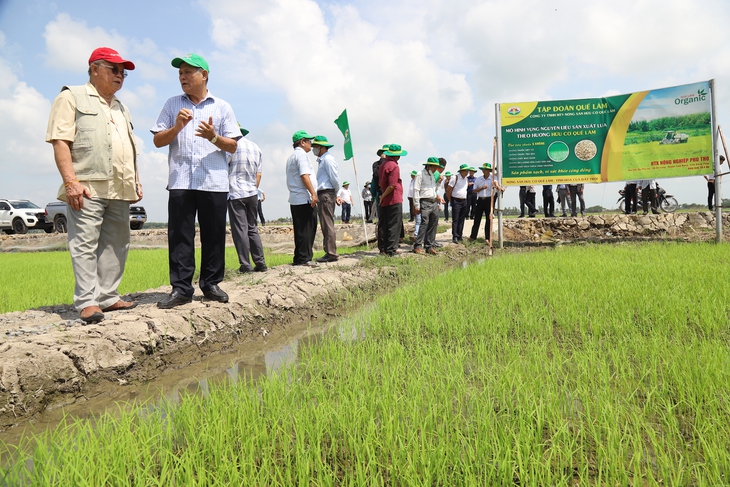 Tọa đàm về sản xuất sạch, tìm cách có đầu ra bền vững, giá trị cao - Ảnh 10.