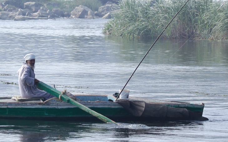 Xuôi sông Nile mà nhớ Việt Nam - Ảnh 4.