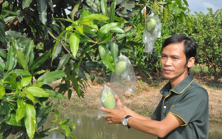 Viện cây ăn quả miền Nam đón nhận Huân chương lao động hạng nhất - Ảnh 3.