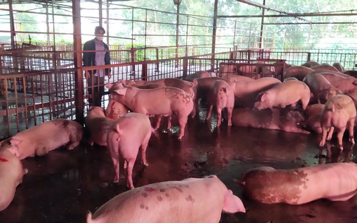 Kiểm tra 5 cơ sở từ 