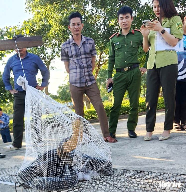 Rắn hổ mang chúa dài hơn 3m bò vào trường học ở Hà Tĩnh - Ảnh 2.