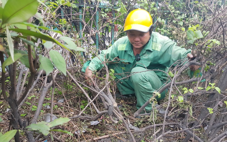 Mất nắp cống, cáp điện, lưới chắn rác... ăn cắp của công, không thể xem nhẹ