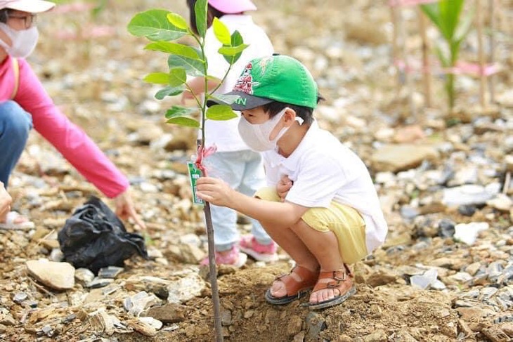 Đắk Nông trồng 1 triệu cây thông dọc quốc lộ 14, 28 - Ảnh 2.