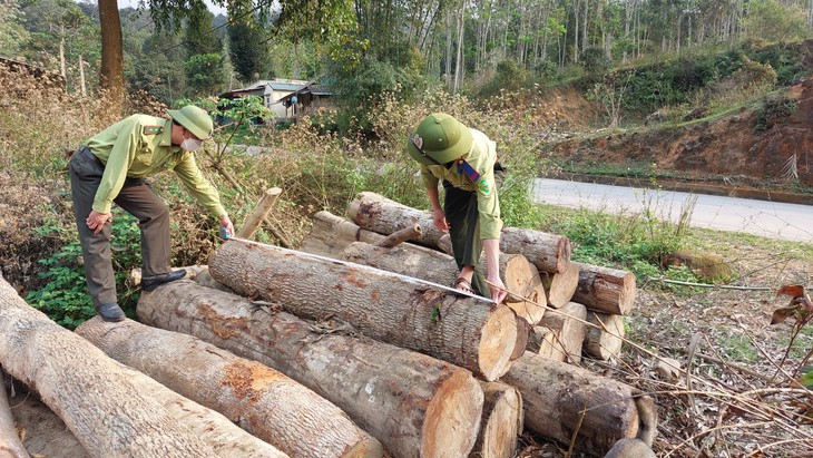 Thanh Hóa: Liên tiếp xảy ra nhiều vụ phá rừng tự nhiên ở huyện vùng cao Quan Sơn - Ảnh 1.