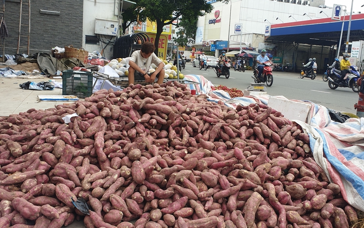 Tin sáng 24-5: Khoai lang, chuối, mít… tràn ra vỉa hè giá rẻ; 100 ngày tập trung tiêu thụ vải thiều - Ảnh 4.