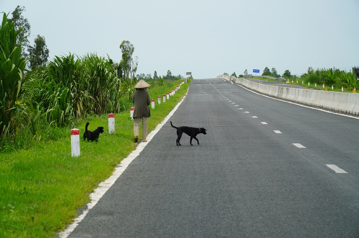 Nhiều người vẫn vô tư đi bộ, chạy xe máy vào cao tốc Lộ Tẻ - Rạch Sỏi - Ảnh 6.