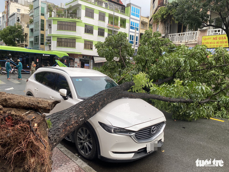 Cây xanh cao 10m bật gốc đè trúng xe hơi ở quận 1, ba người thoát nạn do đi ăn - Ảnh 1.