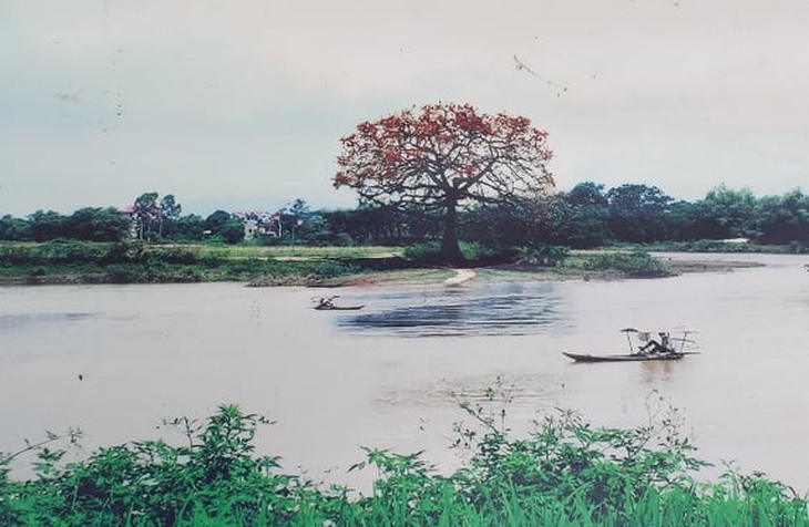 Cội gạo thiêng bên dòng Như Nguyệt xưa - Ảnh 3.