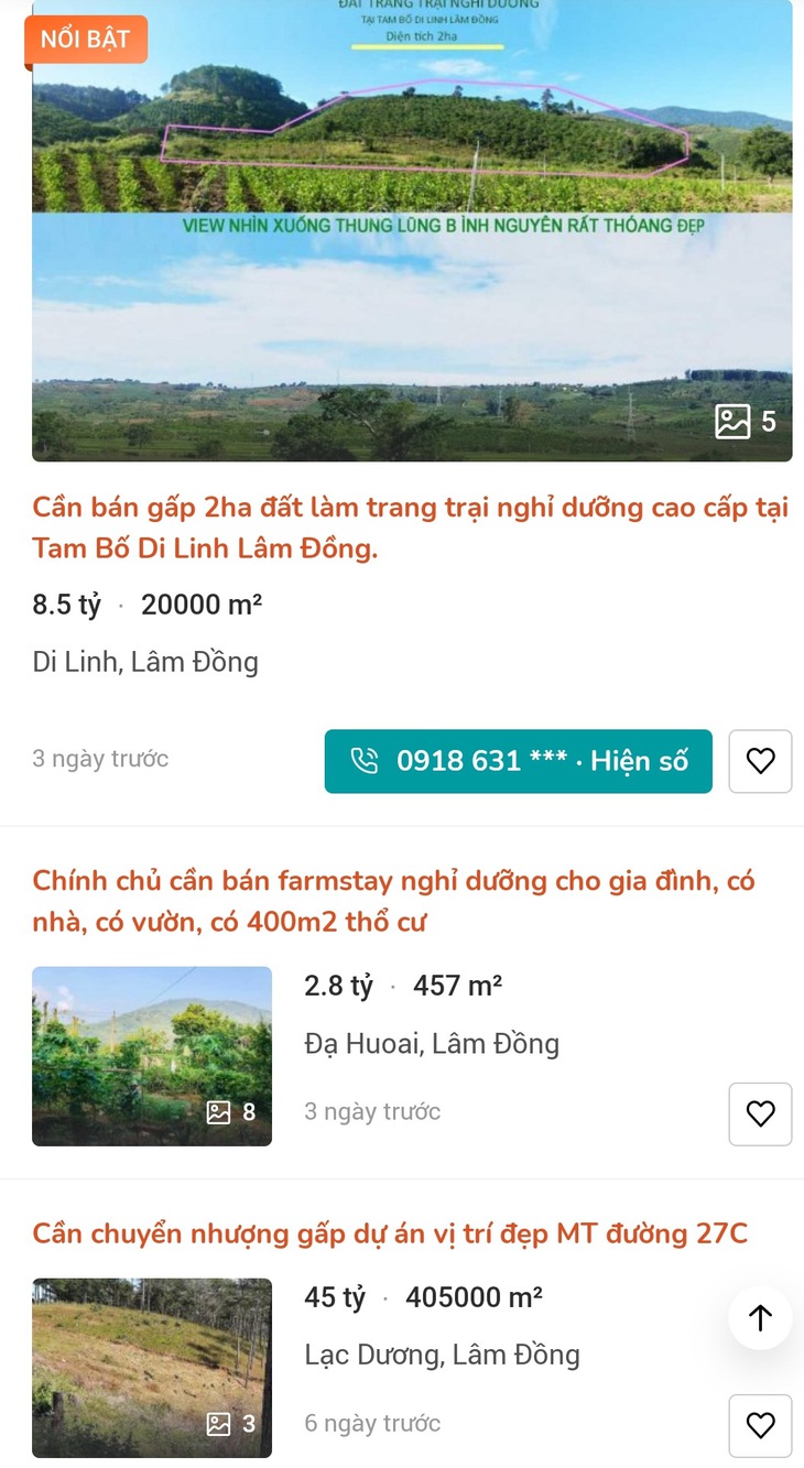 Săn đất nghỉ dưỡng - thực không như mộng - Kỳ 1: Săn đất cho... ngày về vườn - Ảnh 2.