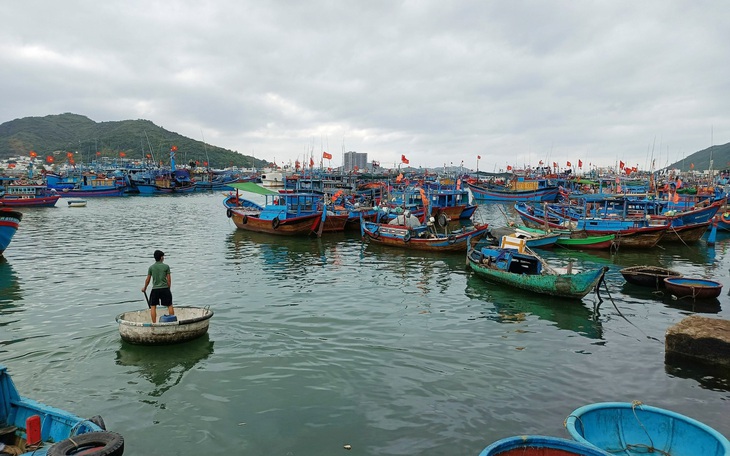 Tàu cá nằm bờ, chờ giá dầu giảm