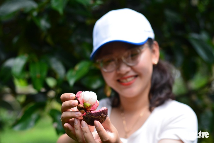 Về Long Khánh nếm đủ vị ngọt trái cây nhiệt đới - Ảnh 5. Về Long Khánh nếm đủ vị ngọt trái cây nhiệt đới - Ảnh 5.
