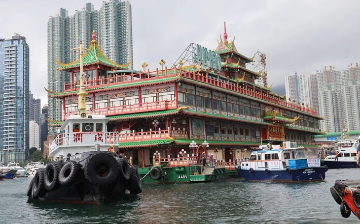 Thẻ căn cước thú cưng Hong Kong nổi rầm rộ, nhưng không có thật - Ảnh 3.