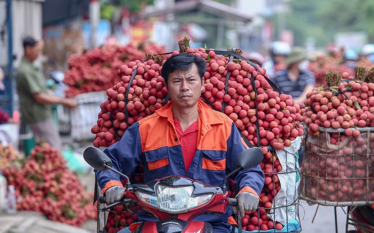 Vụ tung tin sai sự thật về vải thiều: Công an tỉnh Bắc Giang vào cuộc