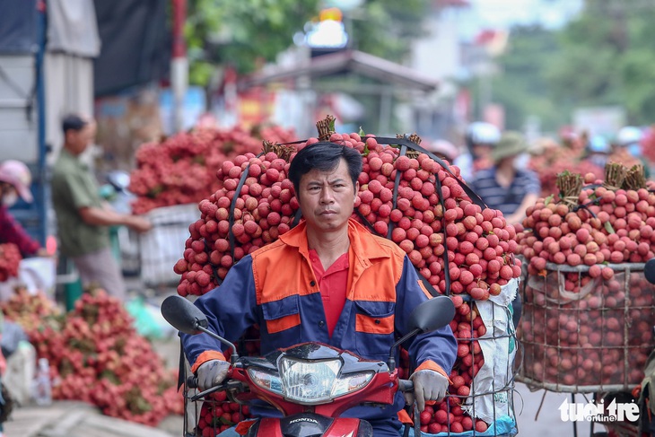 Vụ tung tin sai sự thật về vải thiều: Công an tỉnh Bắc Giang vào cuộc - Ảnh 1.