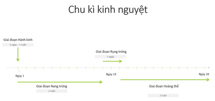 4 điều cần biết cho bạn gái khi tập thể dục - Ảnh 1.