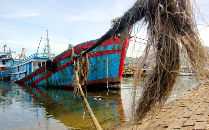 Thanh niên vào khu công nghiệp, tàu xa bờ phải nằm bờ - Ảnh 2.