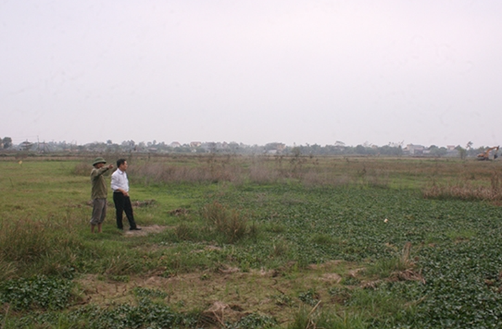 Thiếu ngân hàng thu gom, đất nông nghiệp bỏ hoang ngày càng nhiều - Ảnh 1. Thiếu ngân hàng thu gom, đất nông nghiệp bỏ hoang ngày càng nhiều - Ảnh 1.