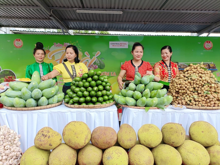 Giá cả hằng ngày 30-6: Nhiều quán cà phê tăng giá; Khách sạn tại TP.HCM giảm giá sâu - Ảnh 3.